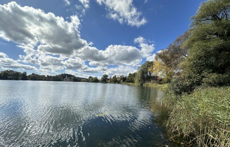 Stimmung Einfamilienhaus We�ling